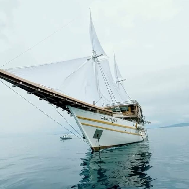 @sanctuaryphinisi Instagram post 6